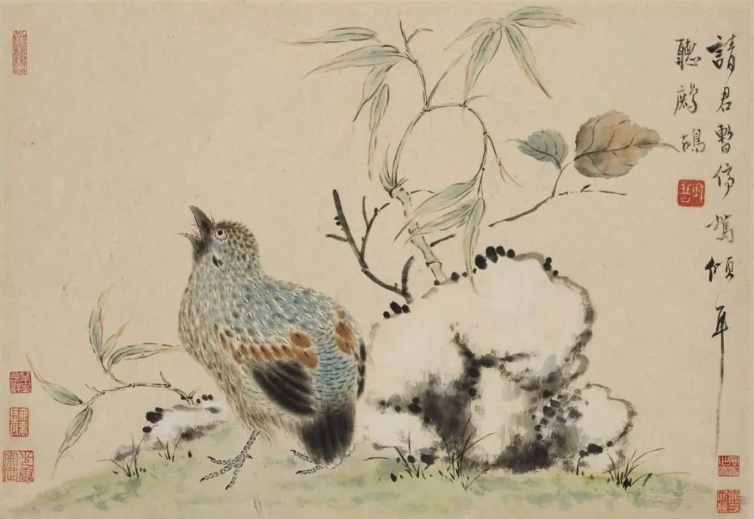 太阳成集团tyc7111cc:2018年微凹黄檀整体表现不出色(图2) 太阳成集团tyc7111cc