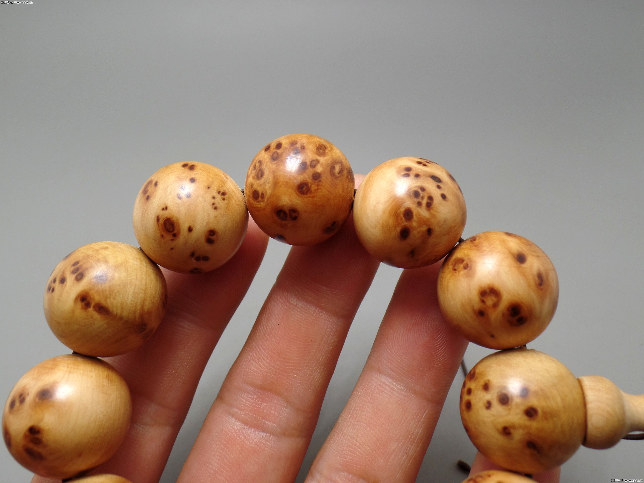 太阳成集团tyc7111cc