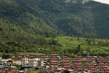 太阳成集团tyc7111cc_市场刚需不振,海棠木出货受阻(图3) 太阳成集团tyc7111cc