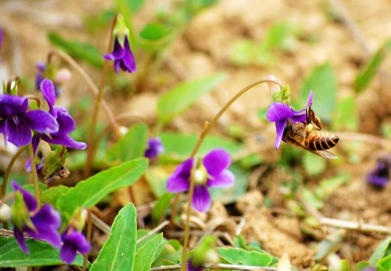 太阳成集团tyc7111cc
