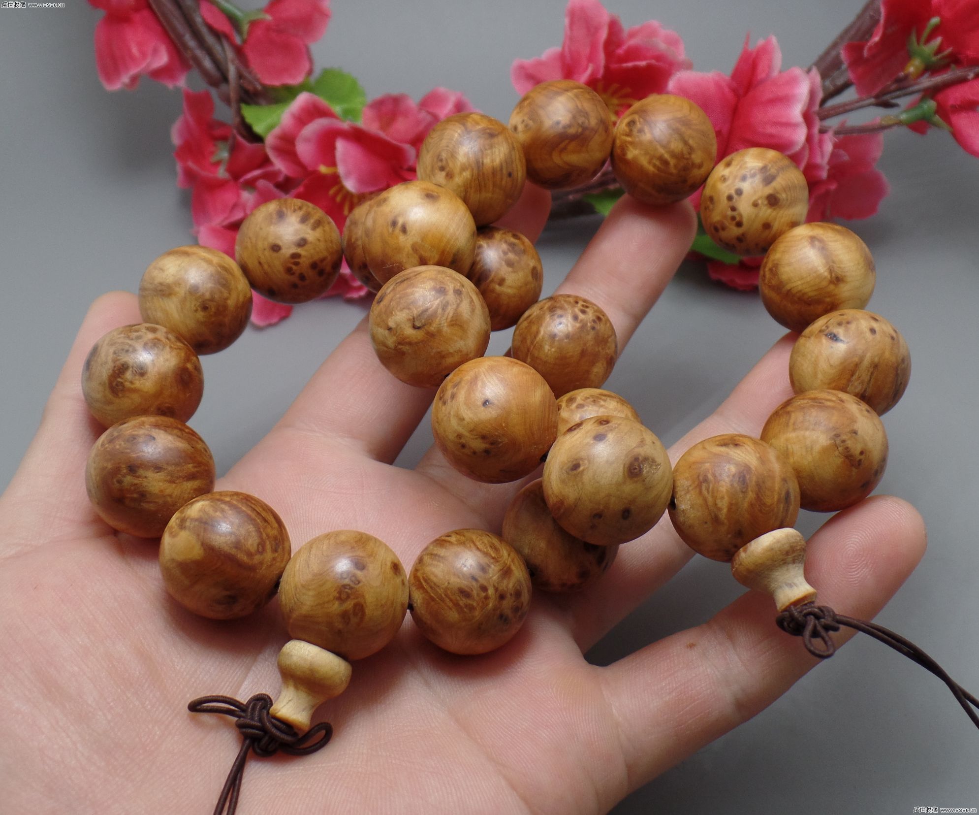 太阳成集团tyc7111cc