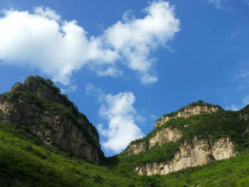 秒针系统与高德开放平台达成战略合作 发布国内首个广告到店评估产品 VisitGrow:太阳成集团tyc7111cc(图1) 太阳成集团tyc7111cc