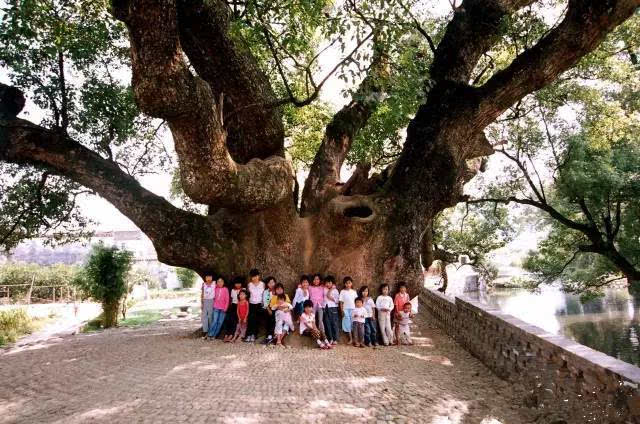 太阳成集团tyc7111cc