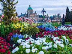 太阳成集团tyc7111cc