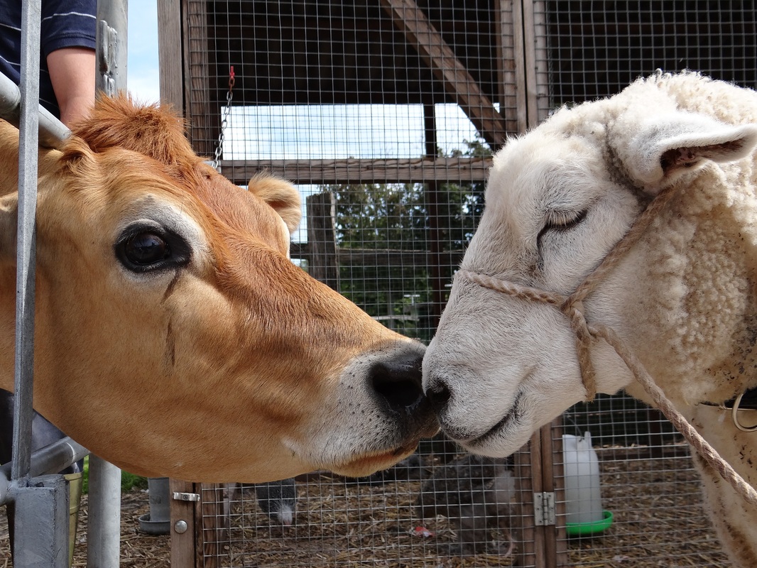 太阳成集团tyc7111cc