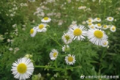 太阳成集团tyc7111cc