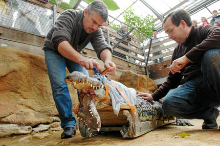 太阳成集团tyc7111cc