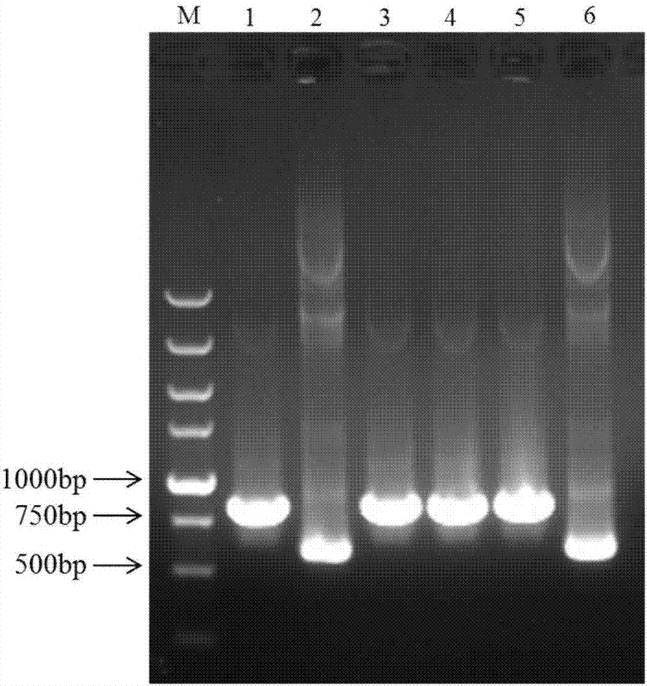 太阳成集团tyc7111cc