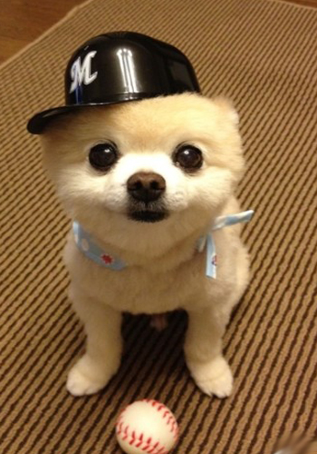 太阳成集团tyc7111cc