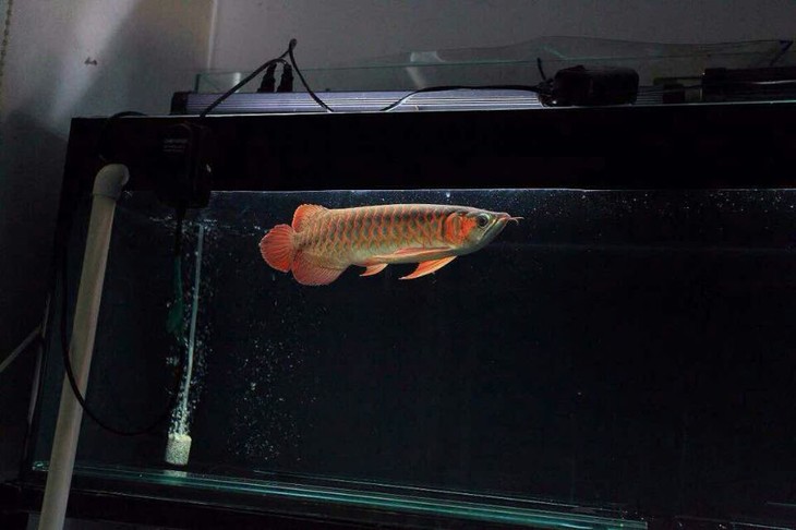 太阳成集团tyc7111cc