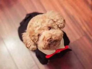 太阳成集团tyc7111cc