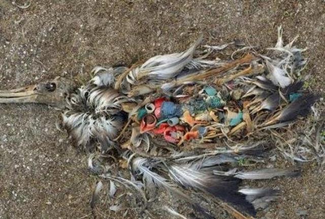 太阳成集团tyc7111cc|瑞典是世界上第二大锯材出口国(图3) 太阳成集团tyc7111cc