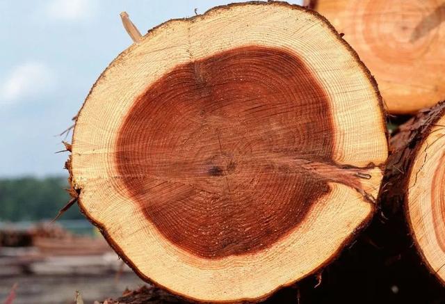 太阳成集团tyc7111cc