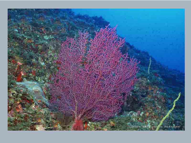 【太阳成集团tyc7111cc】2014年度移动互联网房产用户调查报告(图1) 太阳成集团tyc7111cc