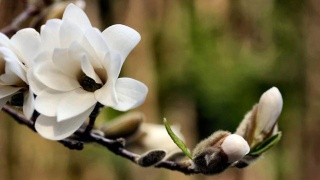 哪些词语是广告法坚决不允许,商家一旦用了就会被重罚?-太阳成集团tyc7111cc(图3) 太阳成集团tyc7111cc