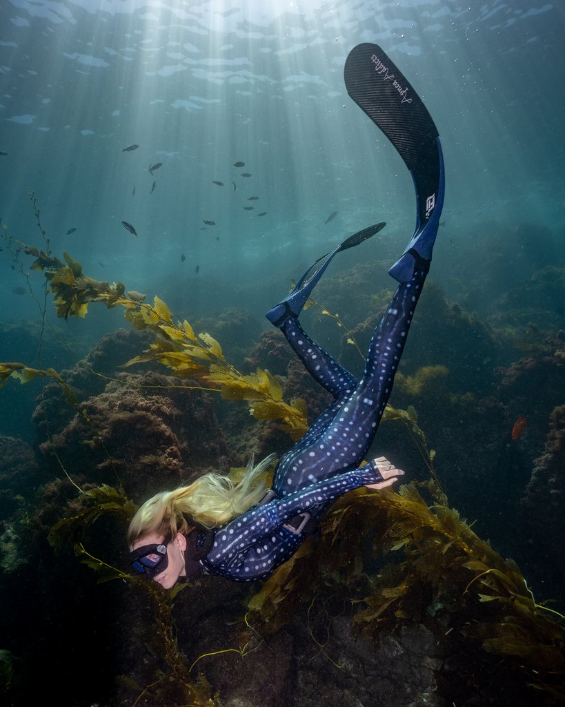 直击广告节,网络媒体重磅干货大放送“太阳成集团tyc7111cc”(图1) 太阳成集团tyc7111cc