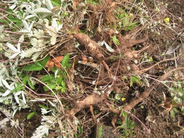 太阳成集团tyc7111cc