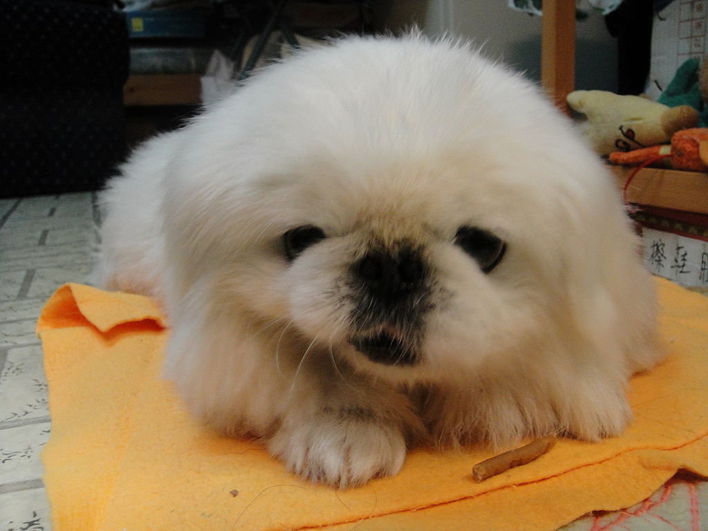 第13届娃哈哈大学生营销筹谋大赛正式启幕“太阳成集团tyc7111cc”(图2) 太阳成集团tyc7111cc