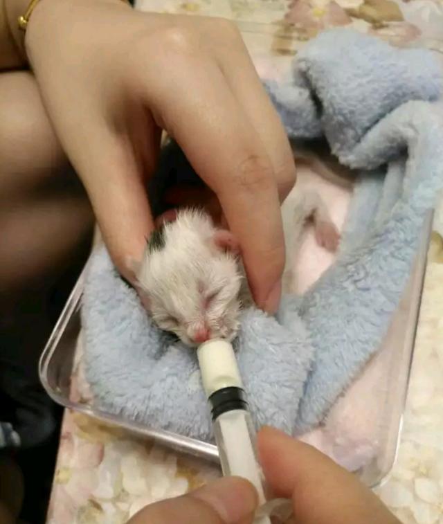 太阳成集团tyc7111cc