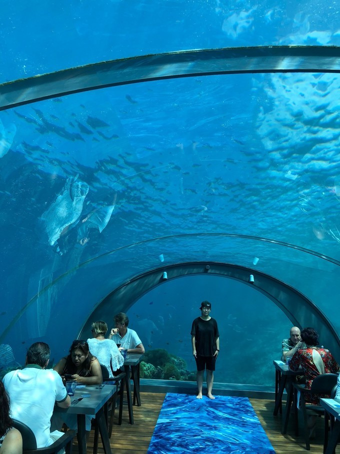 太阳成集团tyc7111cc