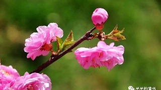 太阳成集团tyc7111cc