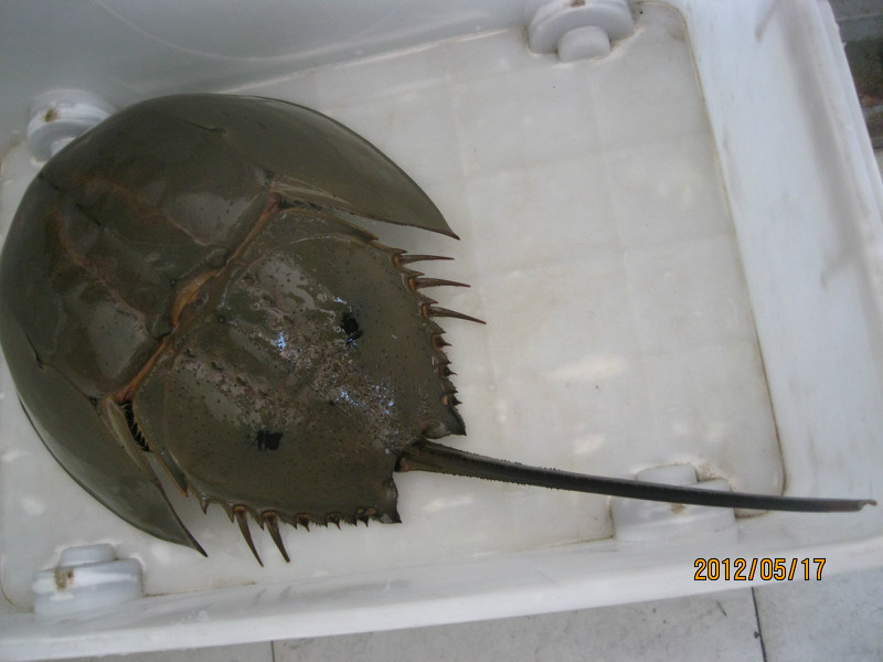 太阳成集团tyc7111cc