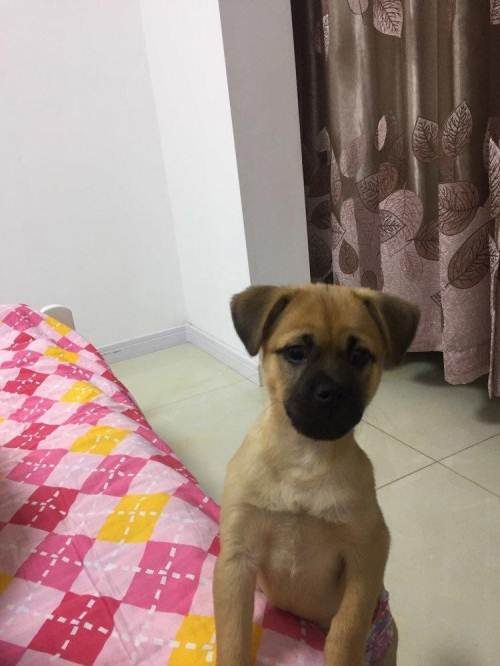 太阳成集团tyc7111cc