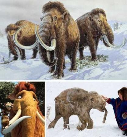 太阳成集团tyc7111cc