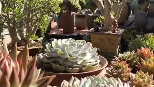 太阳成集团tyc7111cc