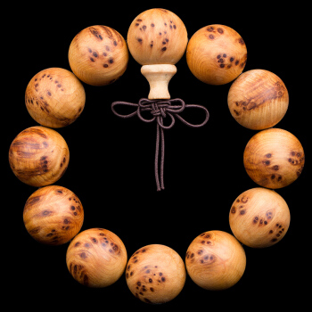 太阳成集团tyc7111cc