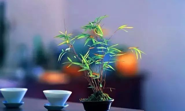 太阳成集团tyc7111cc