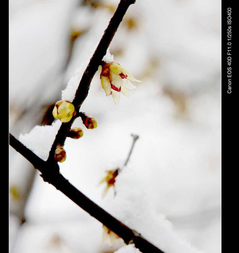 太阳成集团tyc7111cc