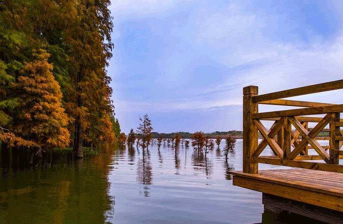 太阳成集团tyc7111cc