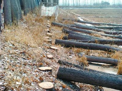 太阳成集团tyc7111cc