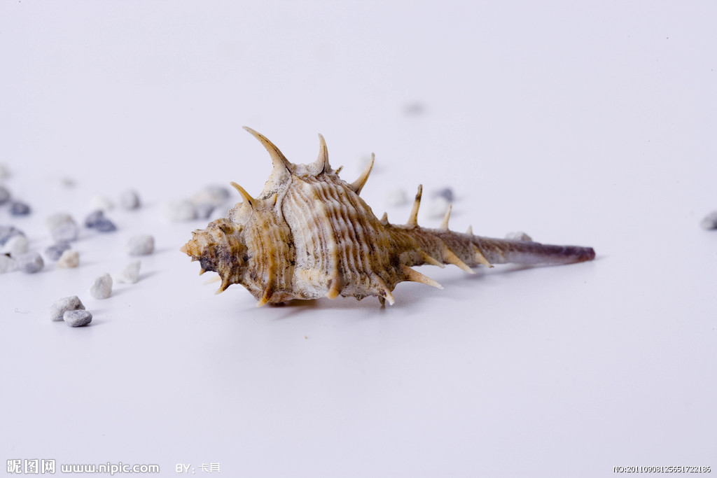 太阳成集团tyc7111cc