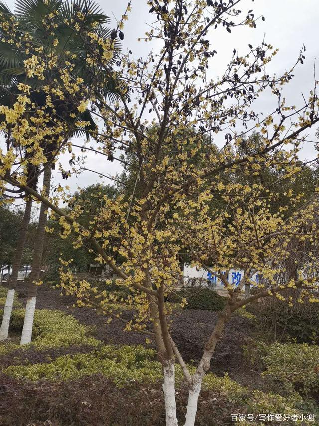 太阳成集团tyc7111cc