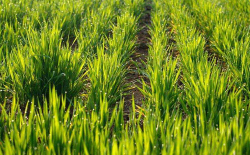 太阳成集团tyc7111cc