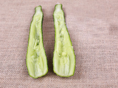 太阳成集团tyc7111cc