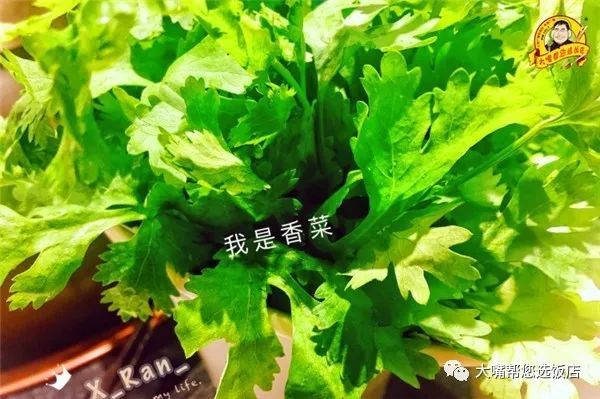 太阳成集团tyc7111cc