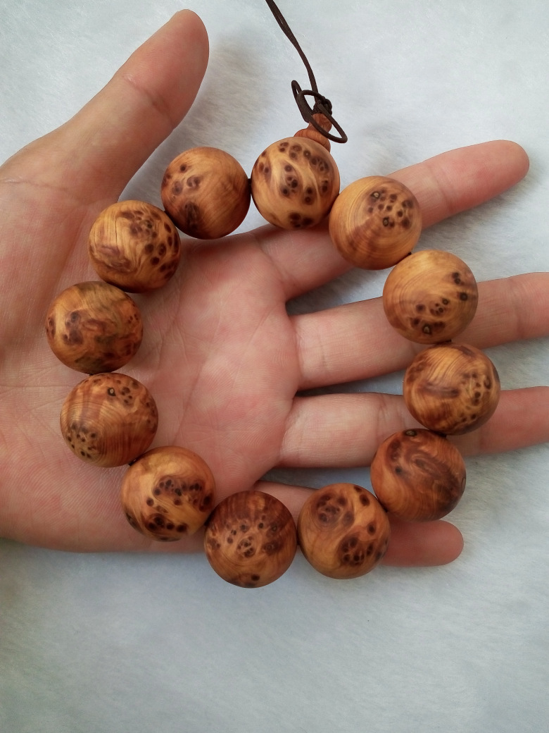 太阳成集团tyc7111cc