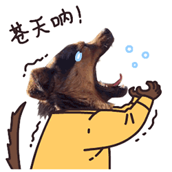 太阳成集团tyc7111cc