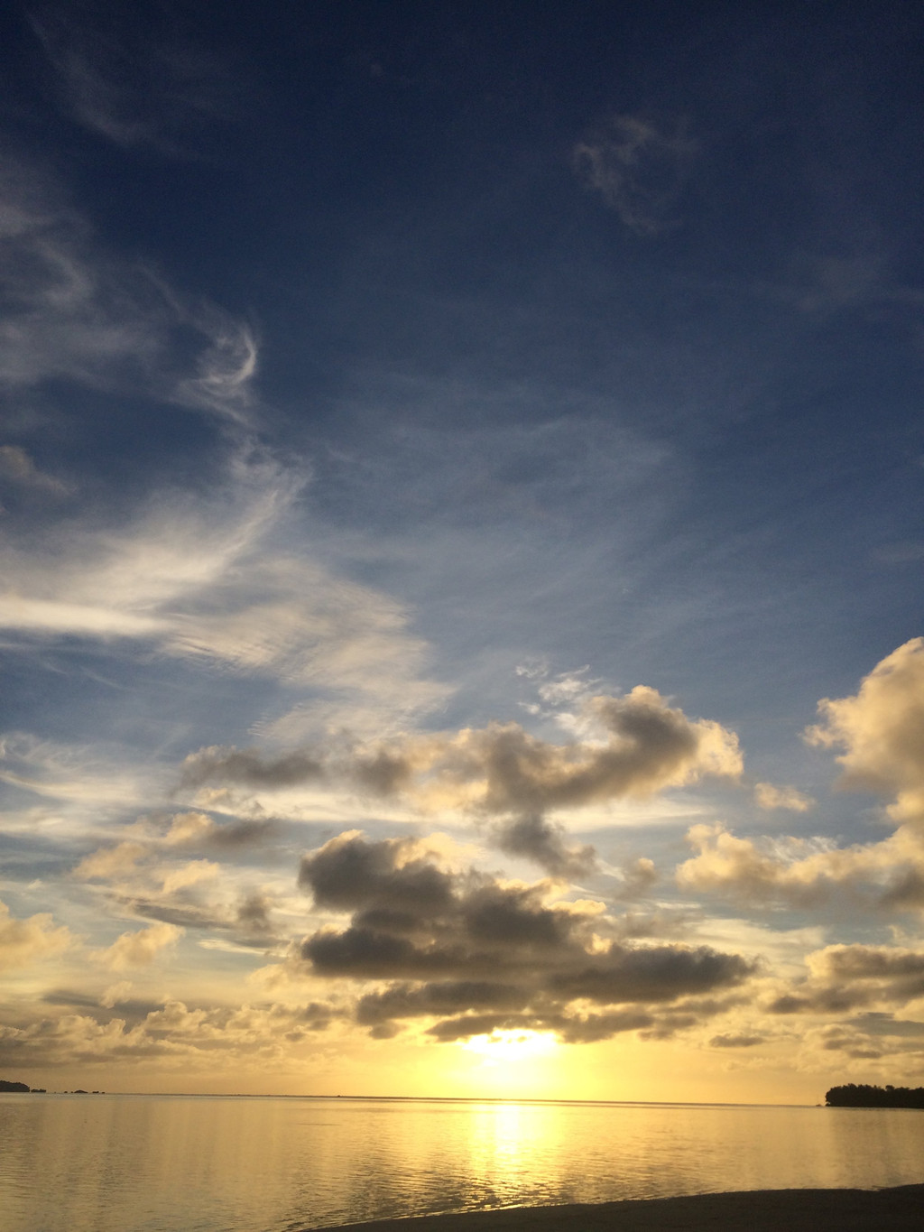 太阳成集团tyc7111cc