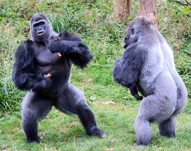 太阳成集团tyc7111cc