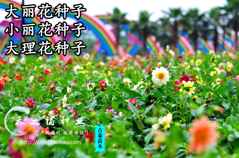太阳成集团tyc7111cc